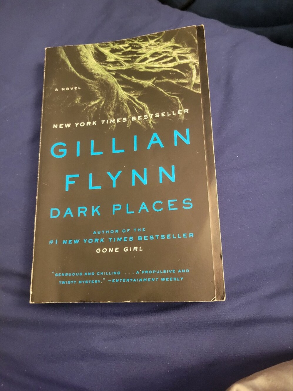 Gillian Flynn "Dark Places" Paperback Novel
